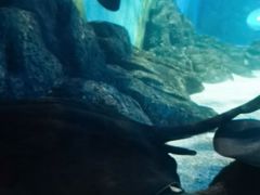 -常州海昌海洋探索馆