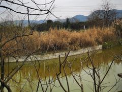 -驿舍·民國老营房院子私房菜(科学会堂店)