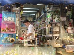 -青石桥花鸟鱼虫市场(叠翠城店)