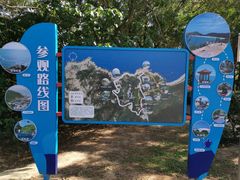 -广东惠东海龟国家级自然保护区