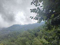 -陕西省红河谷森林公园