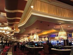 -拉斯维加斯永利酒店