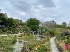 -东莞植物园