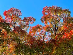 -上海市嘉定区中医医院