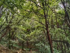 -兴福老面馆(寺路街店)