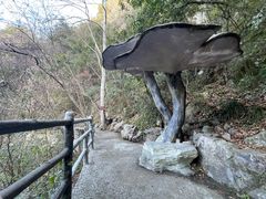 -磐安十八涡景区