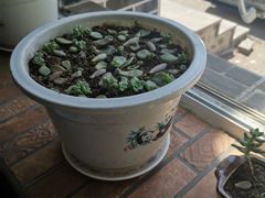 -泰来风味馆(桂林街店)