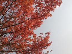 -堤角公园