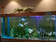 -王府家宴WAHAT AL MLOK RESTAURANT