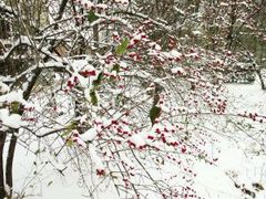 -小科自助海鲜烧肉(高区店)