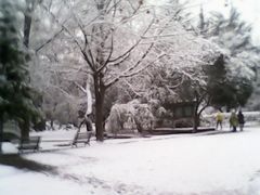 -曲阜师范大学(曲阜校区)