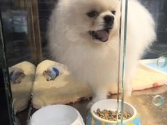 -FAELING PETS美天灵宠物(富力广场店)