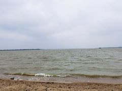 -瑶湖郊野森林公园