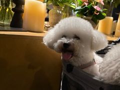 -Ameigo梅果·云贵川bistro(长宁来福士店)