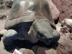 -昆明动物博物馆