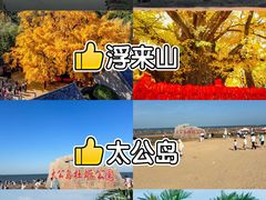 -巧克力渔家.小船海鲜家常菜(万平口店)