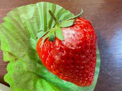 -西郊国际农产品交易中心