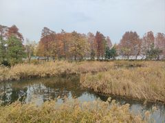 -武汉紫薇都市田园