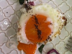 -ELI FALAFEL Lebanese&Mediterranean黎巴嫩美食(富城路店)