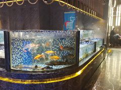 -喜庭海鲜自助(北辰三角洲北辰荟店)