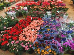 -双季花艺园艺市场(浦东店)