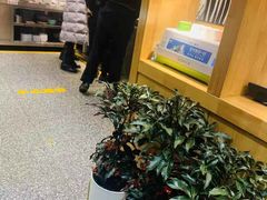 -莫山小馆(大石桥店)