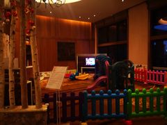 -长白山万达喜来登度假酒店