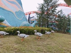 内景-上海海昌海洋公园