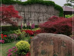 -嘉定紫藤园