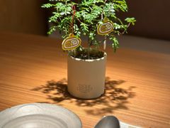 -CURRY YA 熟成咖哩專門店(深圳湾万象城店)