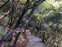 -黔灵山公园