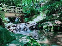 -广州市白云山风景名胜区
