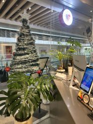 -菲·木田moontin造型salon