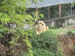 -石家庄市动物园