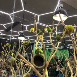 -未来动物城主题公园(正弘城店)