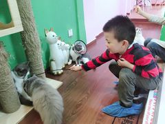 -李小姐の猫咖啡馆(五角场店)