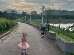 -风云岭森林公园