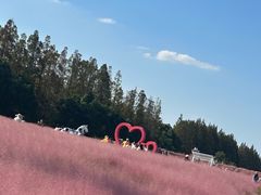 -嘉北郊野公园