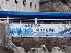 -东极岛景区