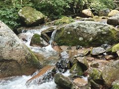 -五女峰国家森林公园