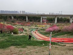 -秀丽东方