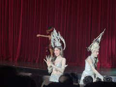 -金东尼人妖秀
