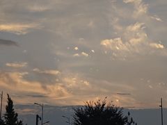 -西北农林科技大学(北校区)