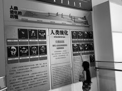 -烟台自然博物馆