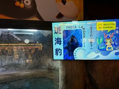 -海合安青岛极地海洋公园