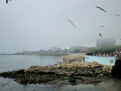 -黑石礁公园