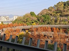 -福道