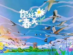 -大湾区中央湿地公园