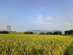 -光明小镇欢乐田园