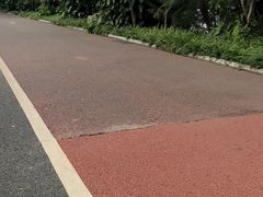 -南宁南湖公园